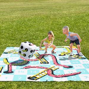 Giant Snakes And Ladders Game