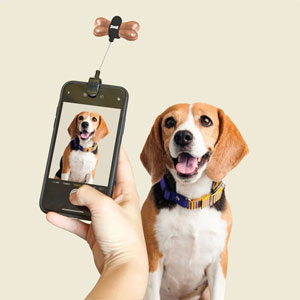 Selfie-Gadget fr Hunde