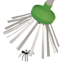 Spinnen Fnger Spider Catcher