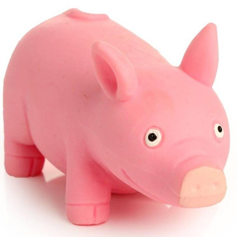 Squeezy Stretchy Pig
