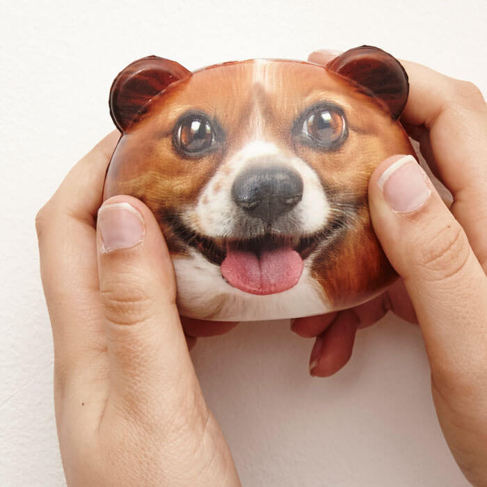 Dog Stress Balls