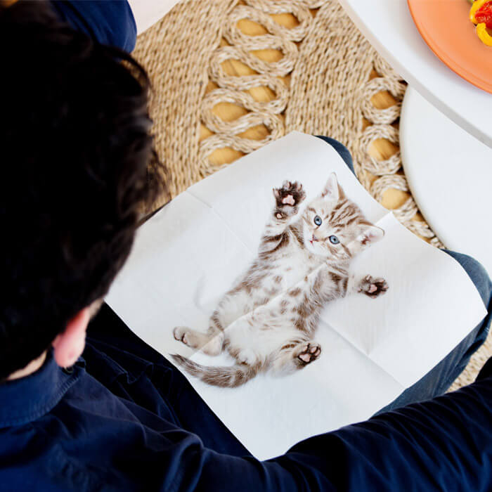Katzen-Servietten