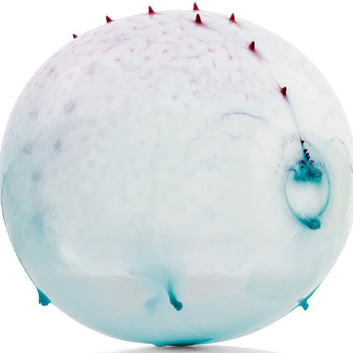 Dinosaur Balloon Ball