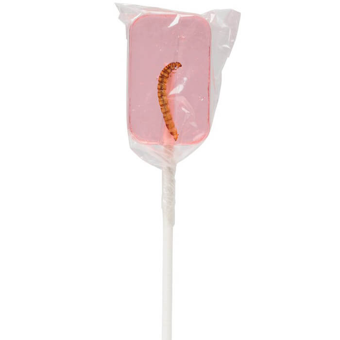 Sucettes aux Insectes