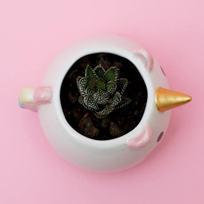 Elodie Unicorn Planter