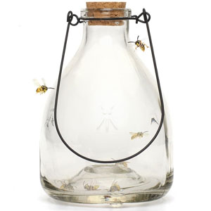 Wasp Trap Set