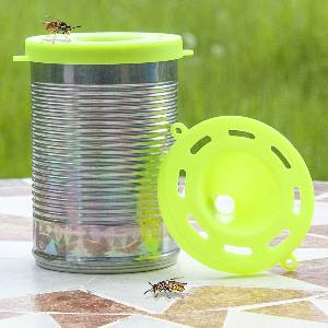 2 Piges  gupes