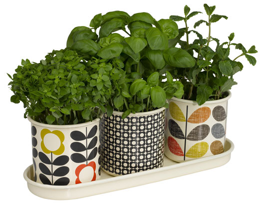 Orla Kiely Herb Pots