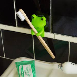 Frog Toothbrush Holder